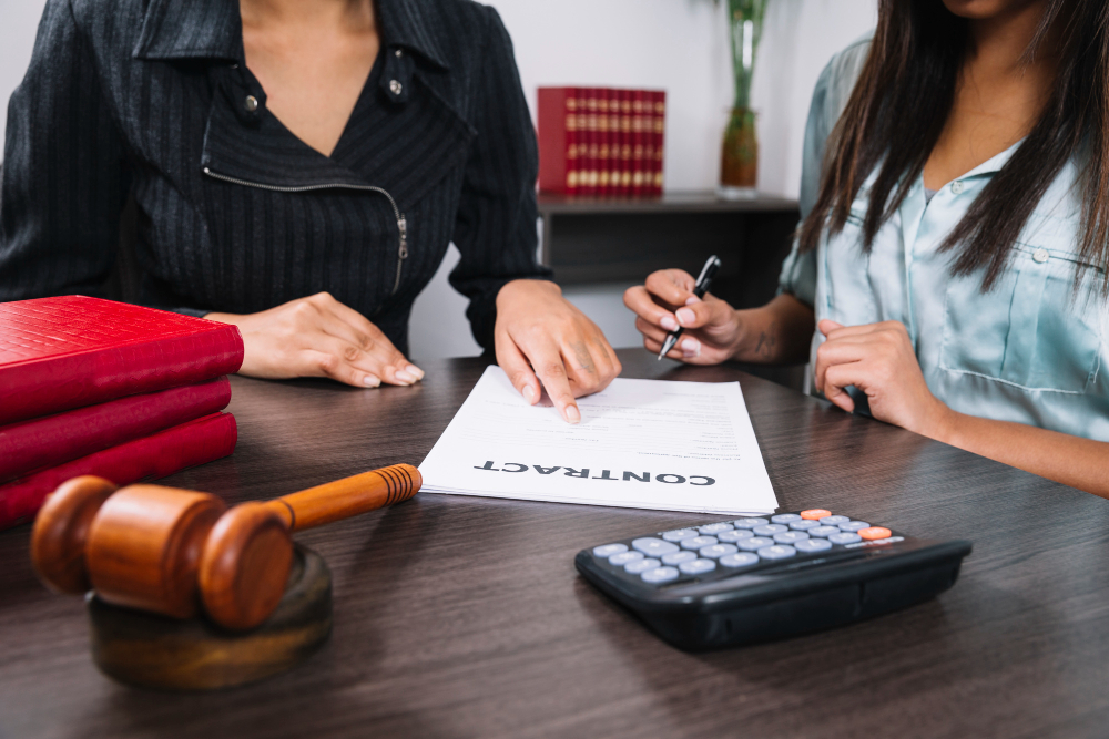 Litigation Support services